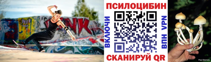 Купить где  Новоалтайск  Галлюциногенные грибы Psilocybe 